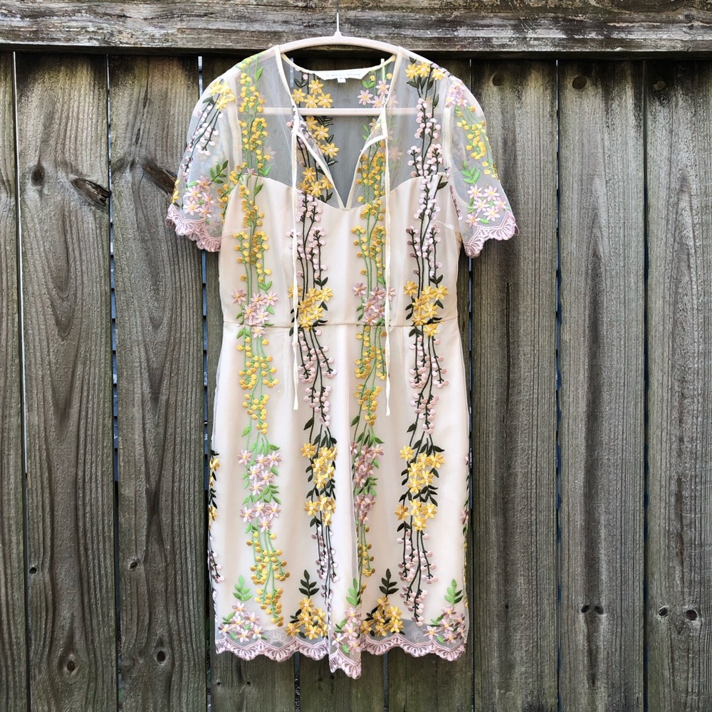 Cupcakes and Cashmere Floral Embroidered Mesh Sheath Dress Size 8 Cream